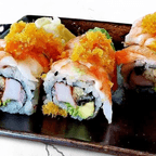 Best Tiger in Norwalk, CT